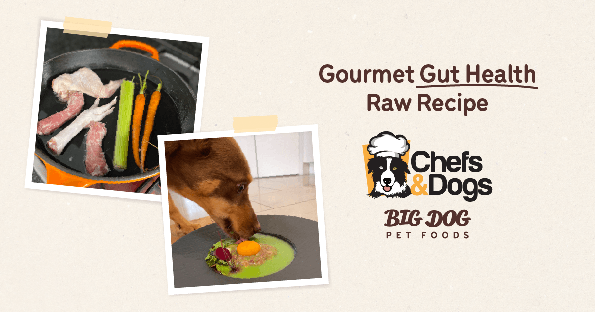 Gourmet gut health raw recipe Guides Big Dog Pet Foods